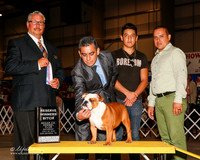 Bulldog #16 RWB Ana Leticia Guillen Avila Judge John Booth