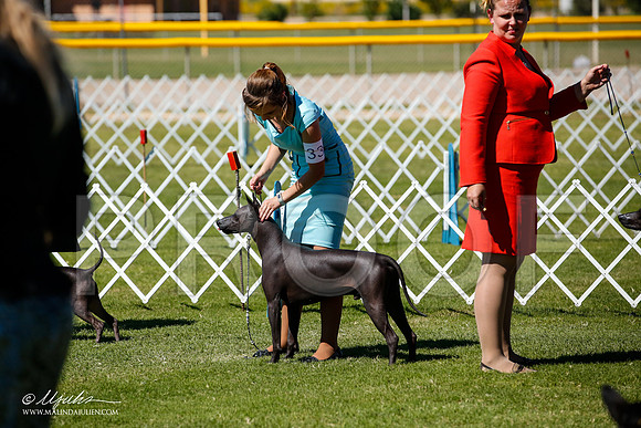 _JJ_8578-AlamogordoOct2014-HR3