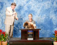 Pekingese #5 Sat BOB Skinner Colleen Doolin Agent Guy Heiman Judge Charles Olvis