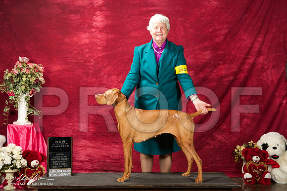 _ST_2913-BeltonJan2015IABCA-HR3