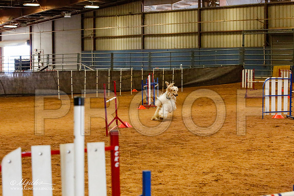 _MJ_2496-AfgBeltonOct2014-HR3