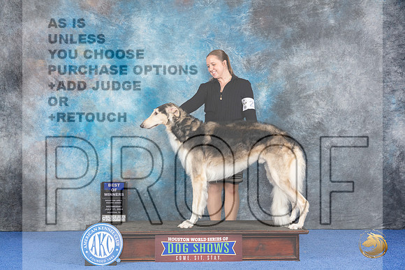Borzoi #23 WED BOWM Judge Marilyn Pipes__JP_7067_Houston_2024_HR3