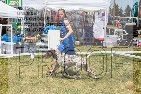 German Shorthaired Pointer Rings Wed_JJL_1793_Premier_2024_HR3