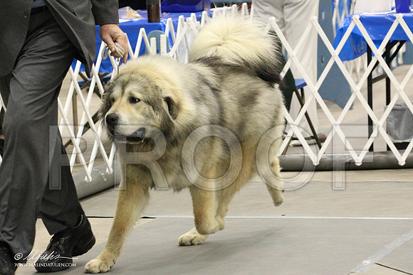IMG_8677-Abilene2011-HR3