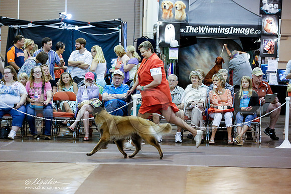 _JN_6683-HstnJul2014-HR3