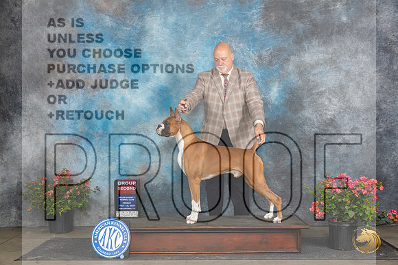 Boxer #11 Fri G2 Judge Wendy G Willhauck__JP_4469_San Antonio_2024_HR3