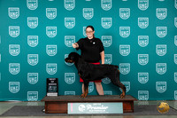Rottweiler #1147 Sat BOB Judge Lori Sargent