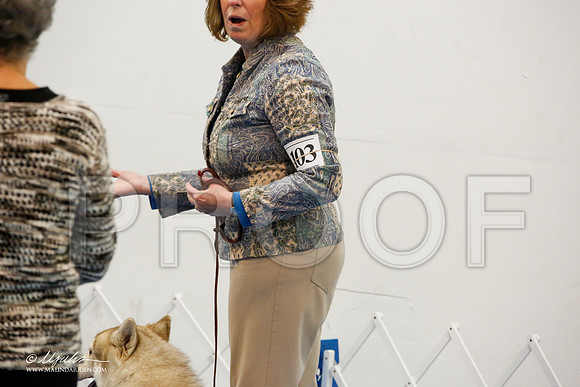 _M3_7946-AddisonHuskyMar2015-HR3
