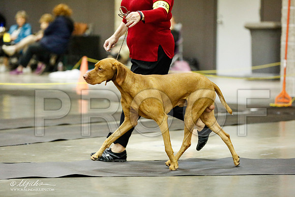 _RH_1189-BeltonJan2015IABCA-HR3
