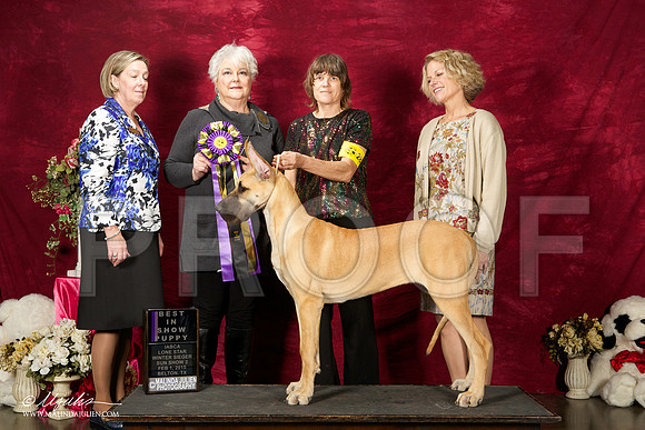 _ST_3024-BeltonJan2015IABCA-HR3