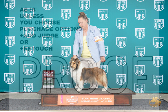 Shetland Sheepdog #730 Sat G4 Judge Pamela Perdue__JP_6472_BatesvilleMS_2024_HR3