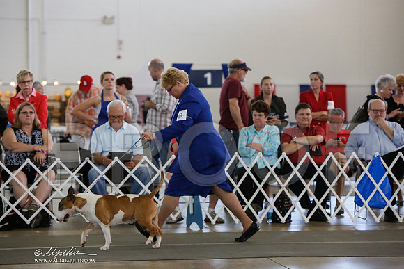 _JJ_2014-DallasJul2014-HR3