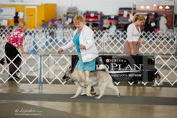 _JJ_5134-DallasJul2014-HR3