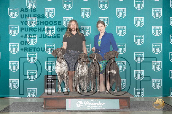 German Shorthaired Pointer #771 Wed BBE Judge Jeane Hegar__JP_2362_Premier_2024_HR3