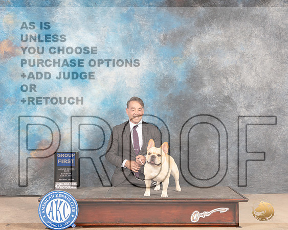 French Bulldog #7 Sat G1 Judge Joan Liebes-MMJ_4179-Abilene2022-HR3