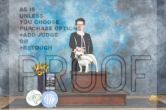 French Bulldog #7 Sat RWD Judge Judy Wade__JP_9740_Abilene_2024_HR3