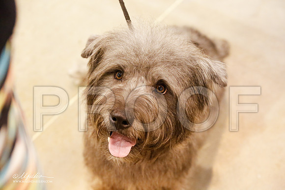 _JJ_3685-HsntJuly20152015-HR3