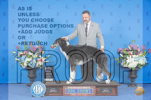 Borzoi #32 SAT WB BW NC M Judge Rick Martin__JP_9695_Houston_2024_HR3