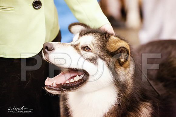 _JJ_3891-HsntJuly20152015-HR3