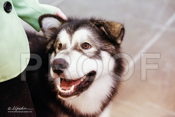 _JJ_3894-HsntJuly20152015-HR3