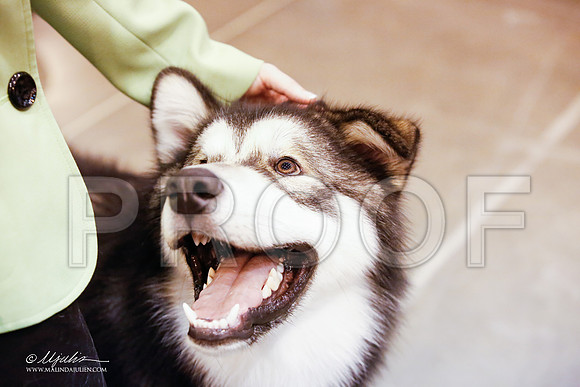 _JJ_3895-HsntJuly20152015-HR3