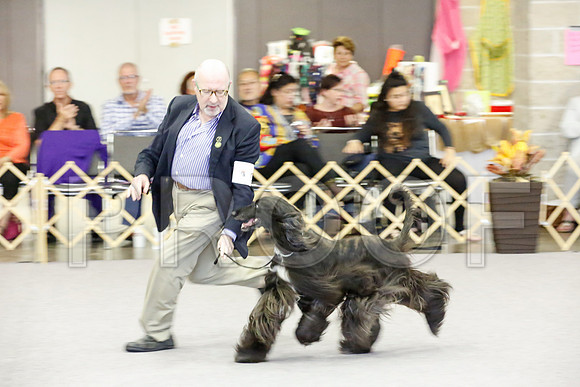 _JJ_2182-AfgBeltonOct2014-HR3