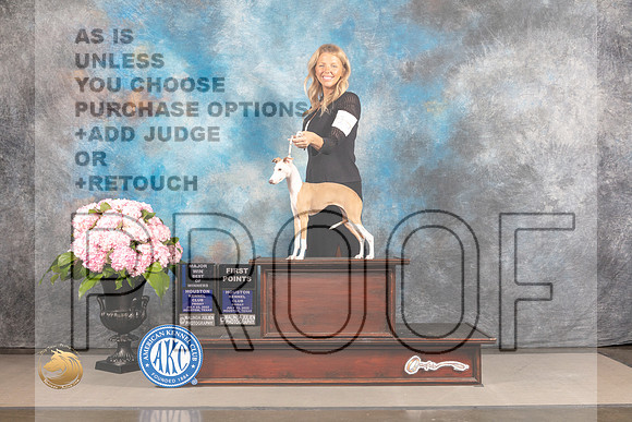 Italian Greyhound #16 FRI BOW WB Major Judge Ken Murray_MJ_4886_Houston_2022_HR3