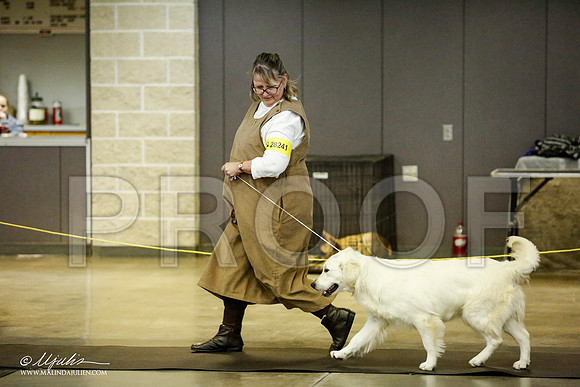 _RH_1008-BeltonJan2015IABCA-HR3
