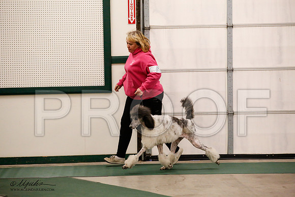 _JN_0957-NrmnNov2014-HR3