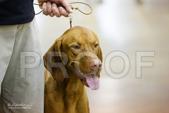 _JJ_4305-HsntJuly20152015-HR3