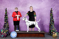 Claire Daugherty Alexandria LA 2026