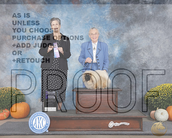 Pekingese #6 Sun WB NCH Judge Christine EricksonPekingese #6 Sun WB NCH Judge Christine Erickson_WP_0863e-Belton Cen-tex 2025-HR3