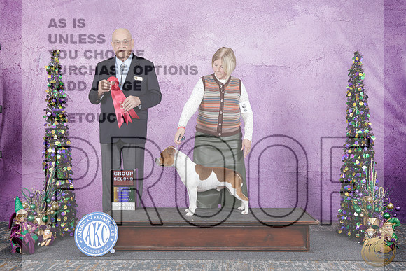 Staffordshire Bull Terrier #9 Sun G2 Judge Joe PurkhiserStaffordshire Bull Terrier #9 Sun G2 Judge Joe Purkhiser_WP_5931e-Alexandria LA 2026-HR3
