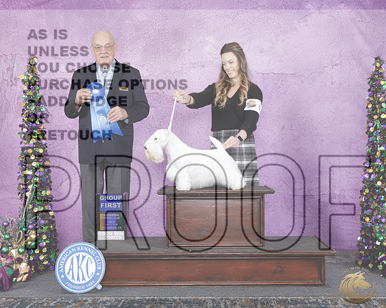 Sealyham Terrier #6 Sun G1 Judge Joe PurkhiserSealyham Terrier #6 Sun G1 Judge Joe Purkhiser_WP_5916e-Alexandria LA 2026-HR3