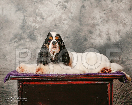 _ST_8083-2-HsntJuly20152015-HR3
