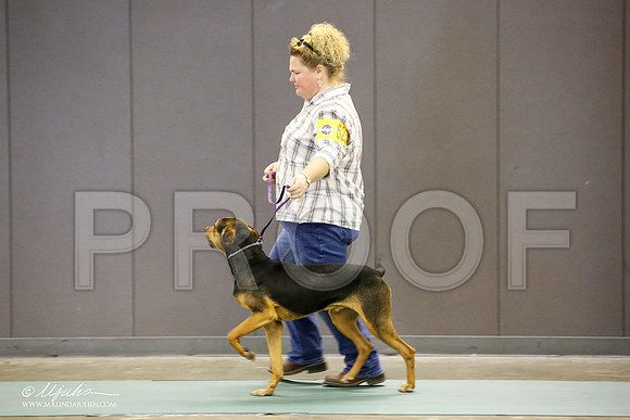_JN_2624-BeltonJan2015-HR3