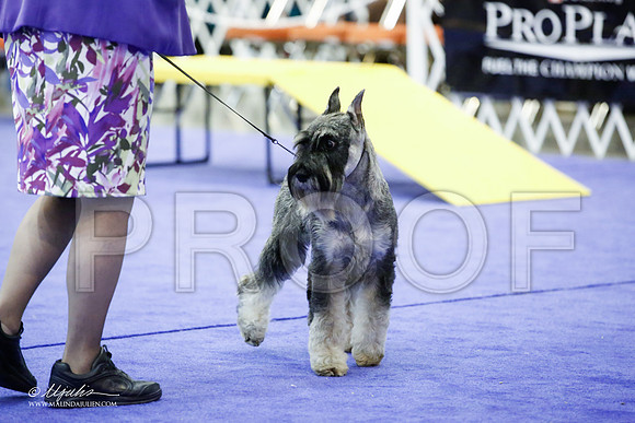 _JJ_5962-HsntJuly20152015-HR3