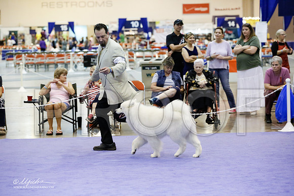 _JJ_5946-HsntJuly20152015-HR3