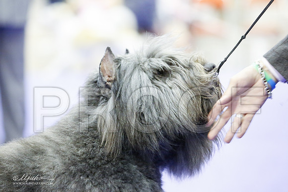 _JJ_5988-HsntJuly20152015-HR3