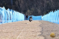 Ariel Merkle Texarkana 2026