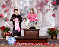 Carol Friedman Texarkana 2026
