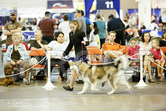 _JJ_6491-HsntJuly20152015-HR3