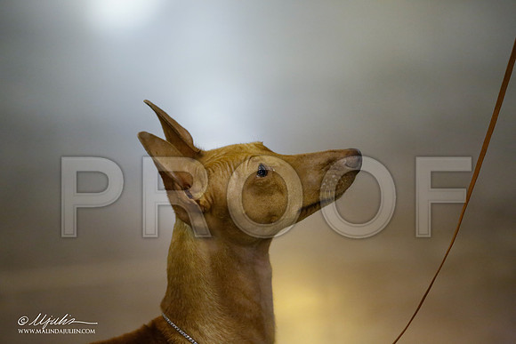 _JJ_6362-Hstn July2015-HR3
