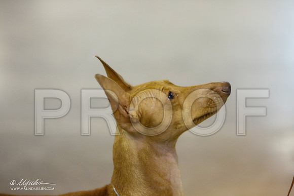 _JJ_6366-Hstn July2015-HR3