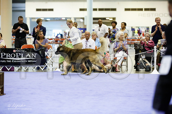 _JJ_6874-HsntJuly20152015-HR3
