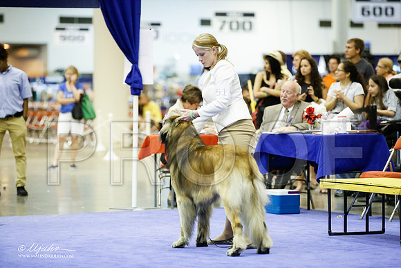 _JJ_6963-HsntJuly20152015-HR3
