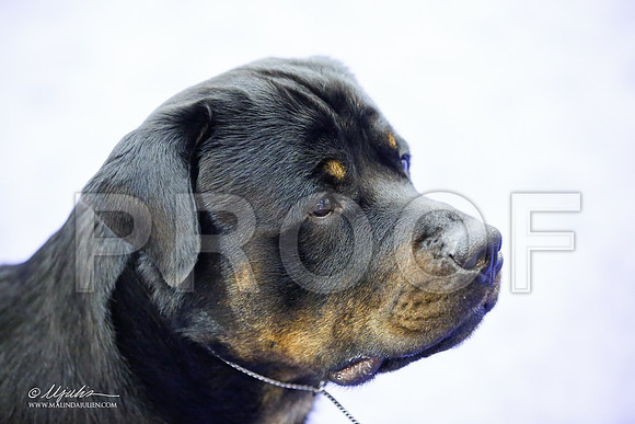 _JJ_6887-HsntJuly20152015-HR3