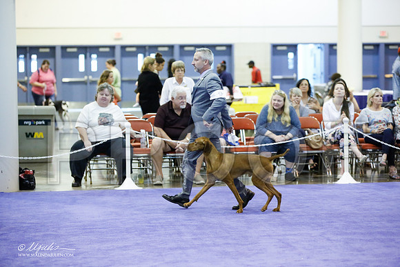 _JJ_6763-HsntJuly20152015-HR3