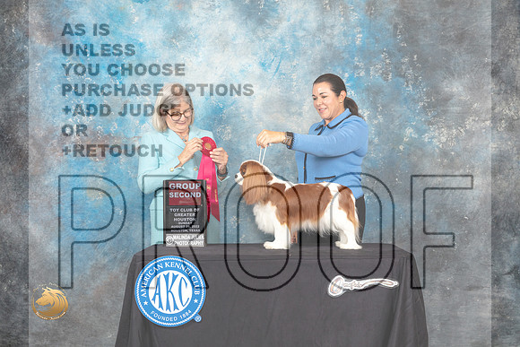 Cavalier King Charles Spaniel #8 Sun G2 Judge Carol Pyrkosz_MJ_0524_HstnTOY_2022_HR3