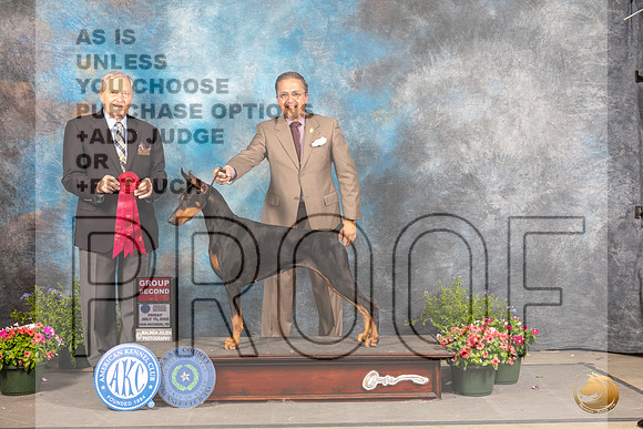 Doberman Pinscher #36 Fri G2 Judge David Bolus_MJ_0107_SA_2022_HR3